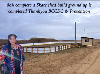 A community skate shed project under construction.
